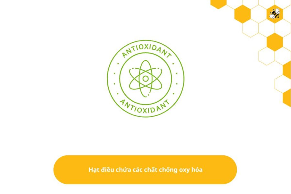 Hạt điều chứa các chất chống oxy hóa