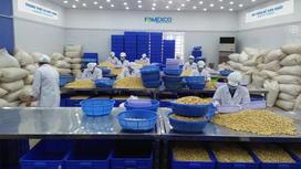 Top các quốc gia, khu vực có ngành công nghiệp hạt điều lớn nhất thế giới