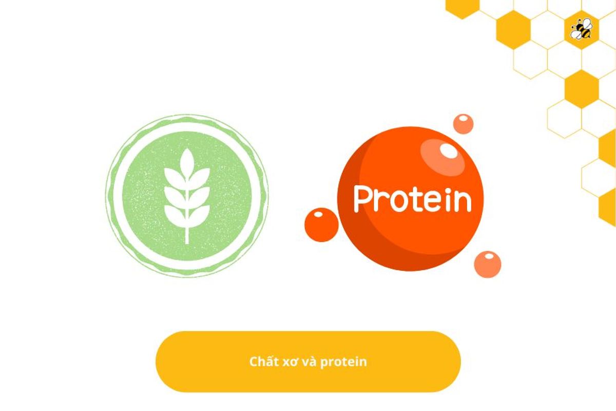 Chất xơ và protein