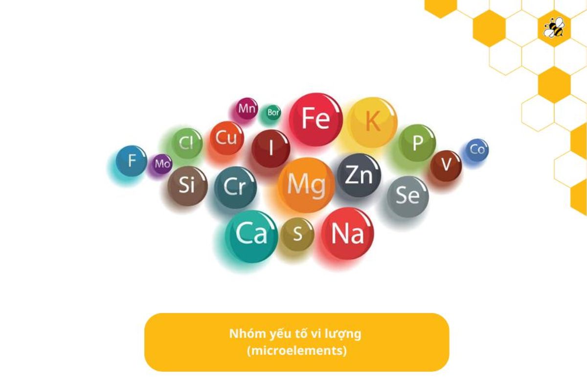 Nhóm yếu tố vi lượng  (microelements)