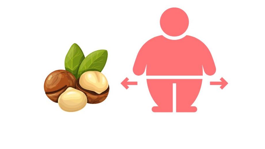 Hạt (quả) macca (mắc ca) có béo không?