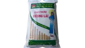 Gạo Thơm Hương Lài – Sự Lựa Chọn Hoàn Hảo Cho Bữa Cơm Việt