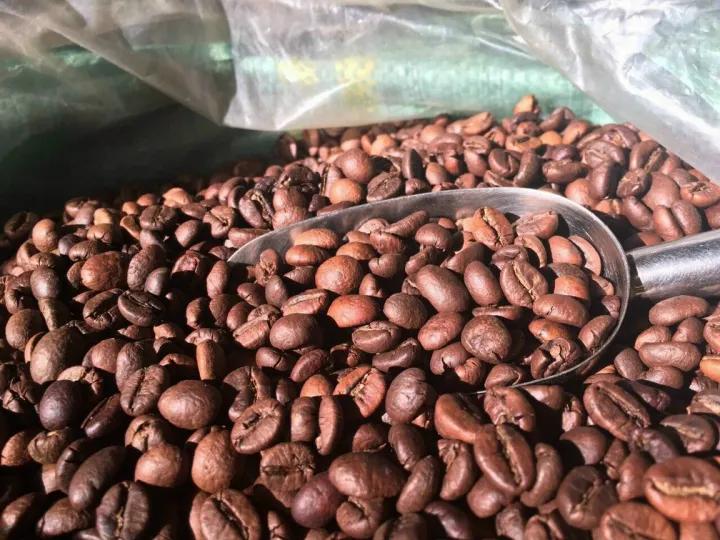 cafe lâm đồng hạt nguyên chất sạch 100% 170k 1kg