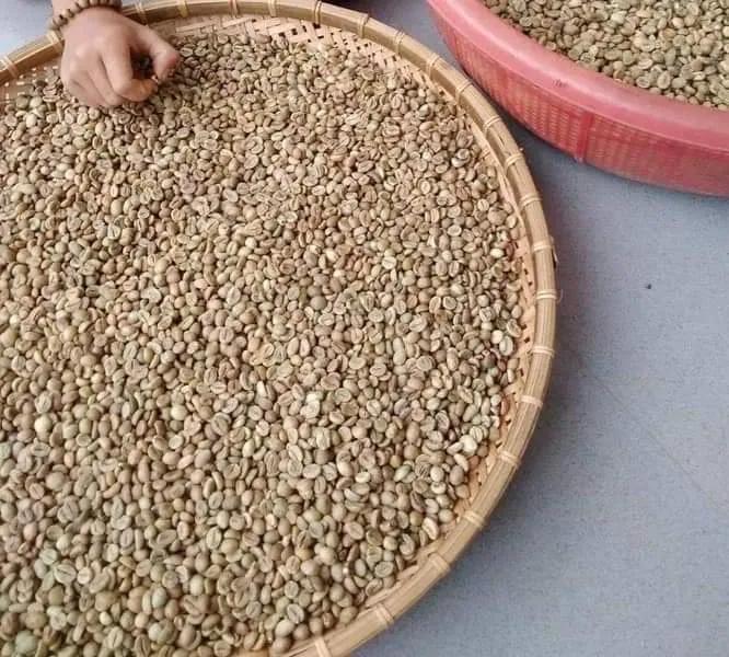 cà phê mộc rubusta + arabica Lâm Đồng cà phê pha phin 500g