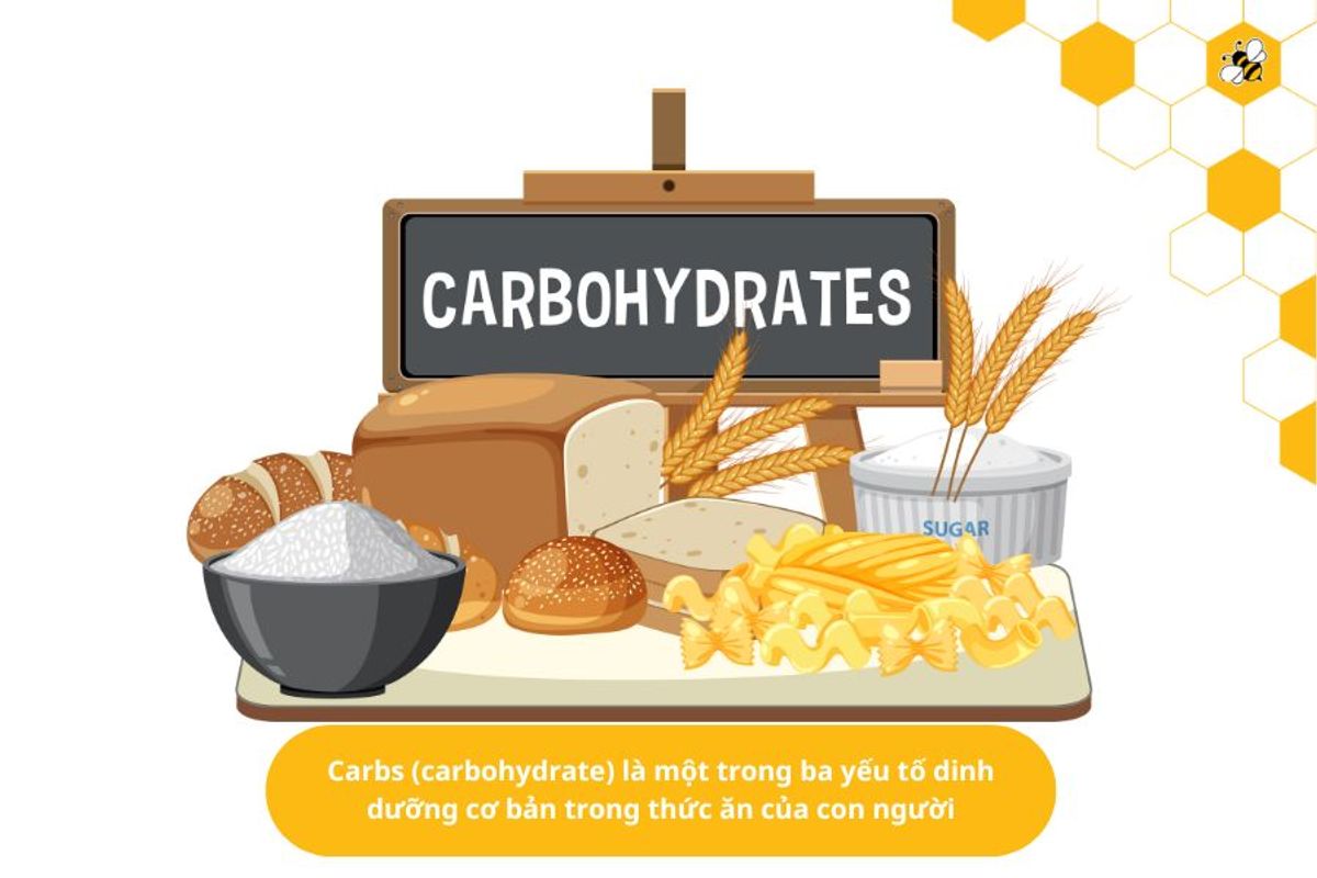 Carbs (carbohydrate) là một trong ba yếu tố dinh dưỡng cơ bản trong thức ăn của con người