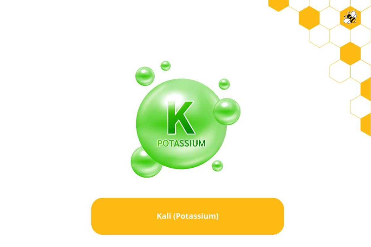 Kali (Potassium)