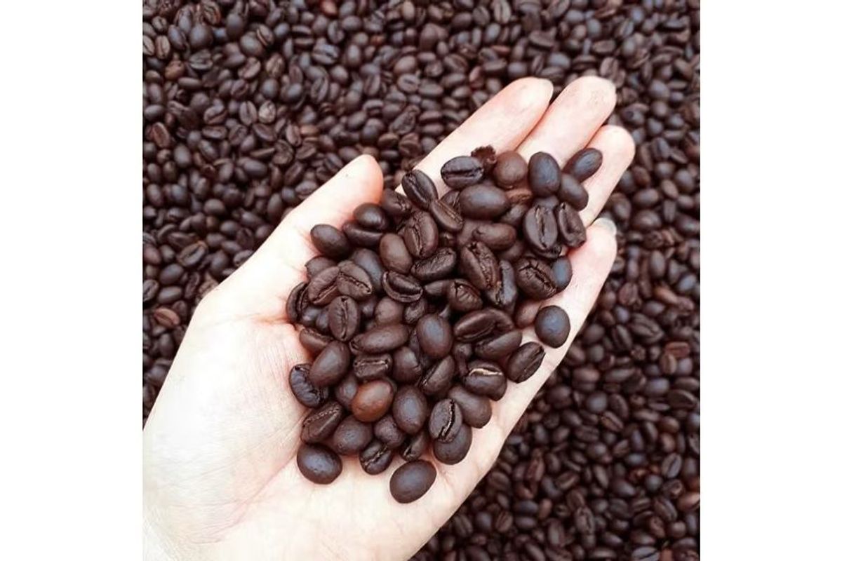 Vì sao cà phê nguyên hạt ngày càng được yêu thích?