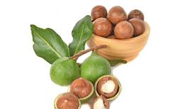 Macca (mắc ca) là gì?