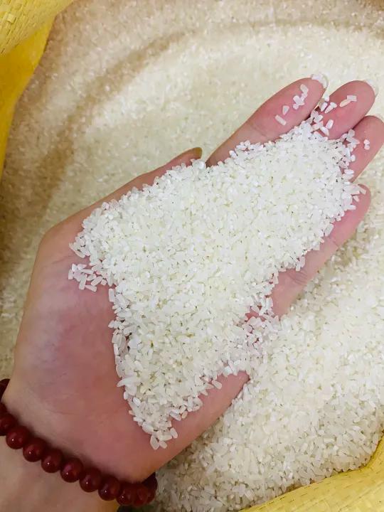 5KG Gạo TẤM ST25 - Gạo Tấm Thơm Dẻo Ngọt - Bena Organic