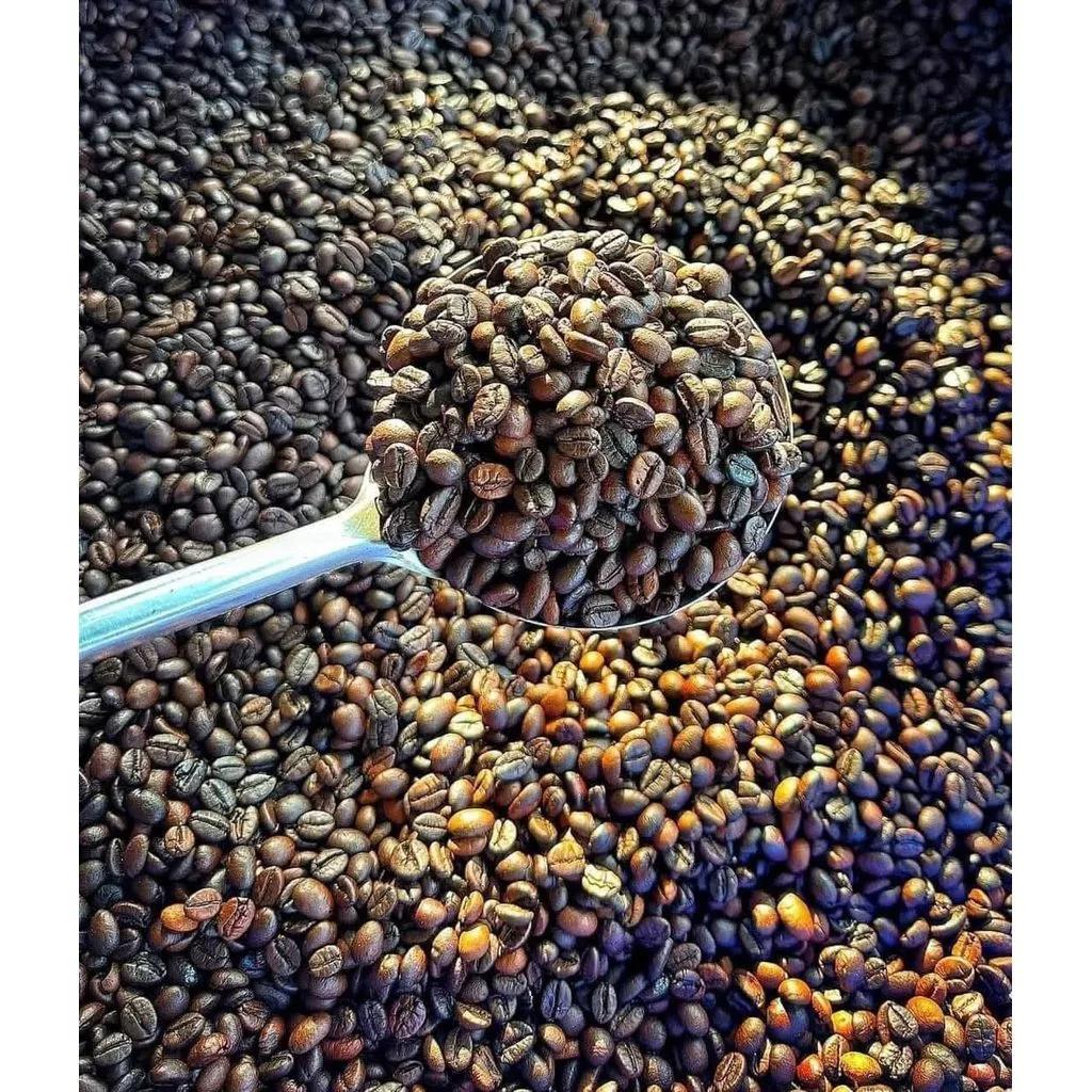 Sỉ Cà Phê Robusta Nguyên Chất Đắk Lắk Rang Mộc Nguyên Hạt/Bột Pha Phin/ Pha Máy
