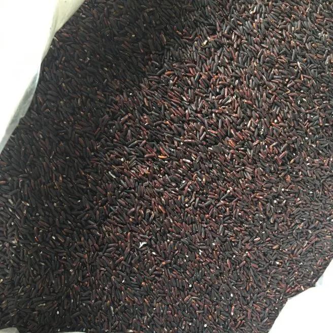 2kg gạo nếp cẩm gạo tím than