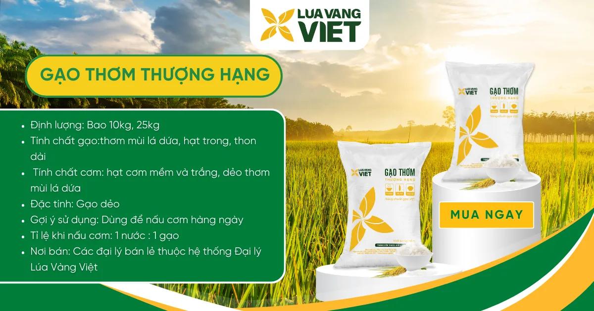 Gạo Thơm Thượng Hạng