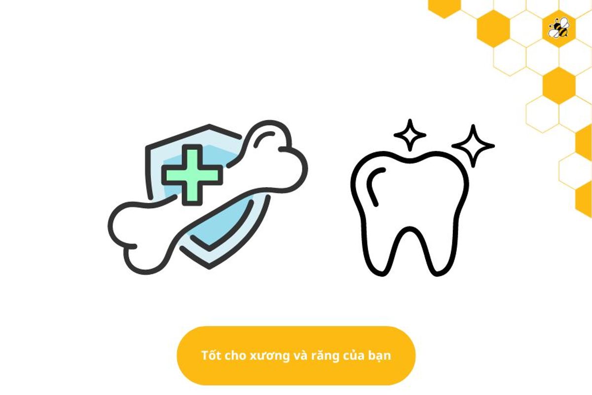 Tốt cho xương và răng của bạn