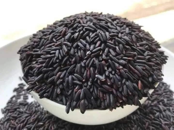 (HCM) túi 3kg gạo lứt dẻo đen Điện Biên date mới bao thơm ngon từng hạt