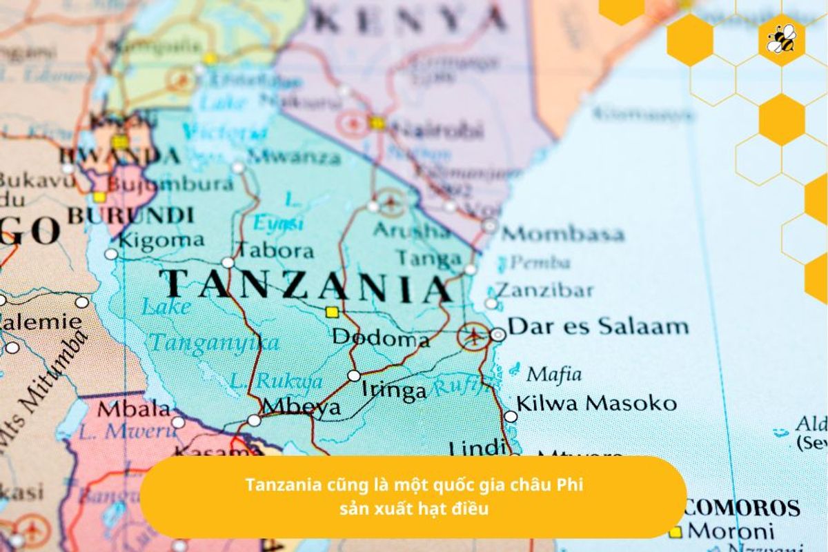 Tanzania cũng là một quốc gia châu Phi sản xuất hạt điều