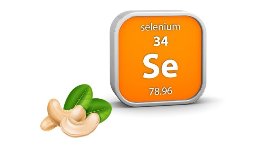 Hạt điều có chứa selen không