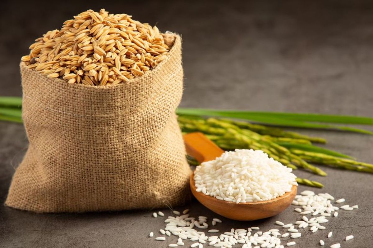 Gạo Sóc Thái và giá trị dinh dưỡng