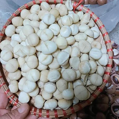 Nhân hạt macca hữu cơ Lai Châu nguyên hạt loại 1 sấy khô từ macca tươi. Quả macca, mắc ca, mac ca sấy sống làm sữa hạt