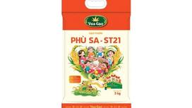 Gạo Thơm ST21 – Tinh Hoa Hạt Ngọc Việt Được Ưa Chuộng Cả Trong Lẫn Ngoài Nước