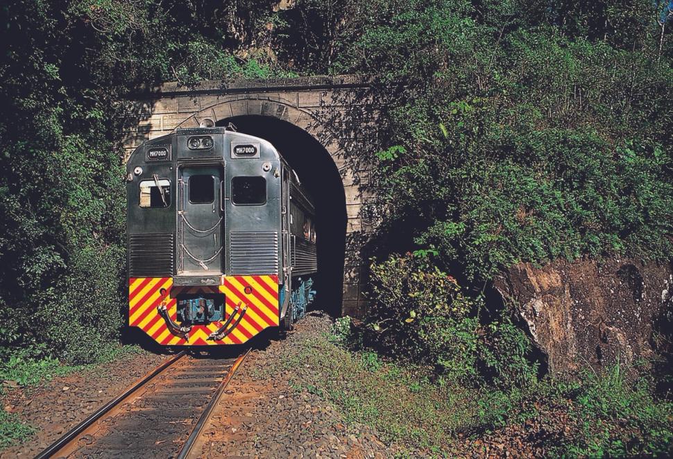 Trem saindo do túnel em passeio de trem de Curitiba a Morretes