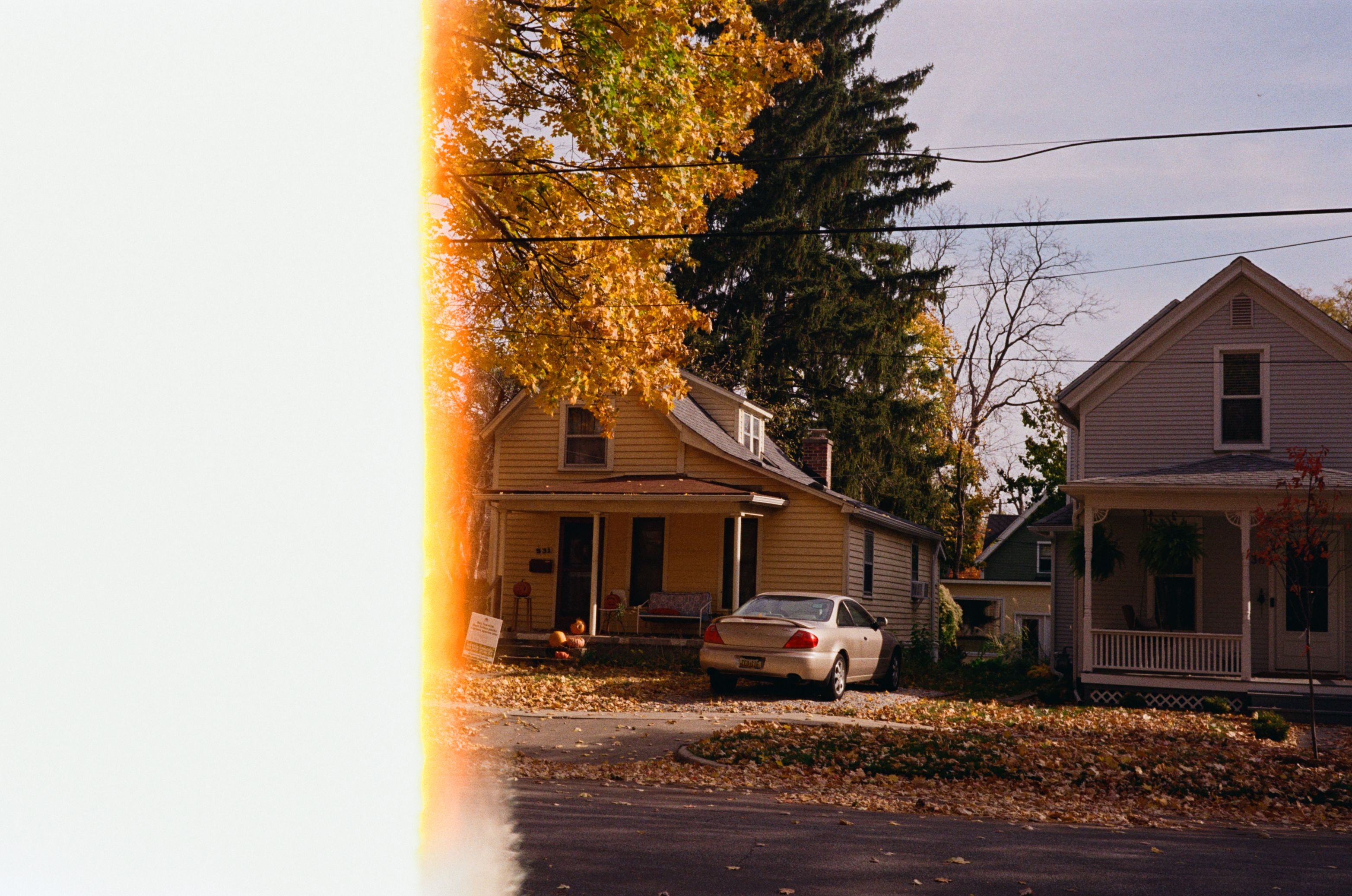 Thatched cottages and bamboo pavilions— no one can stop this flourishing.