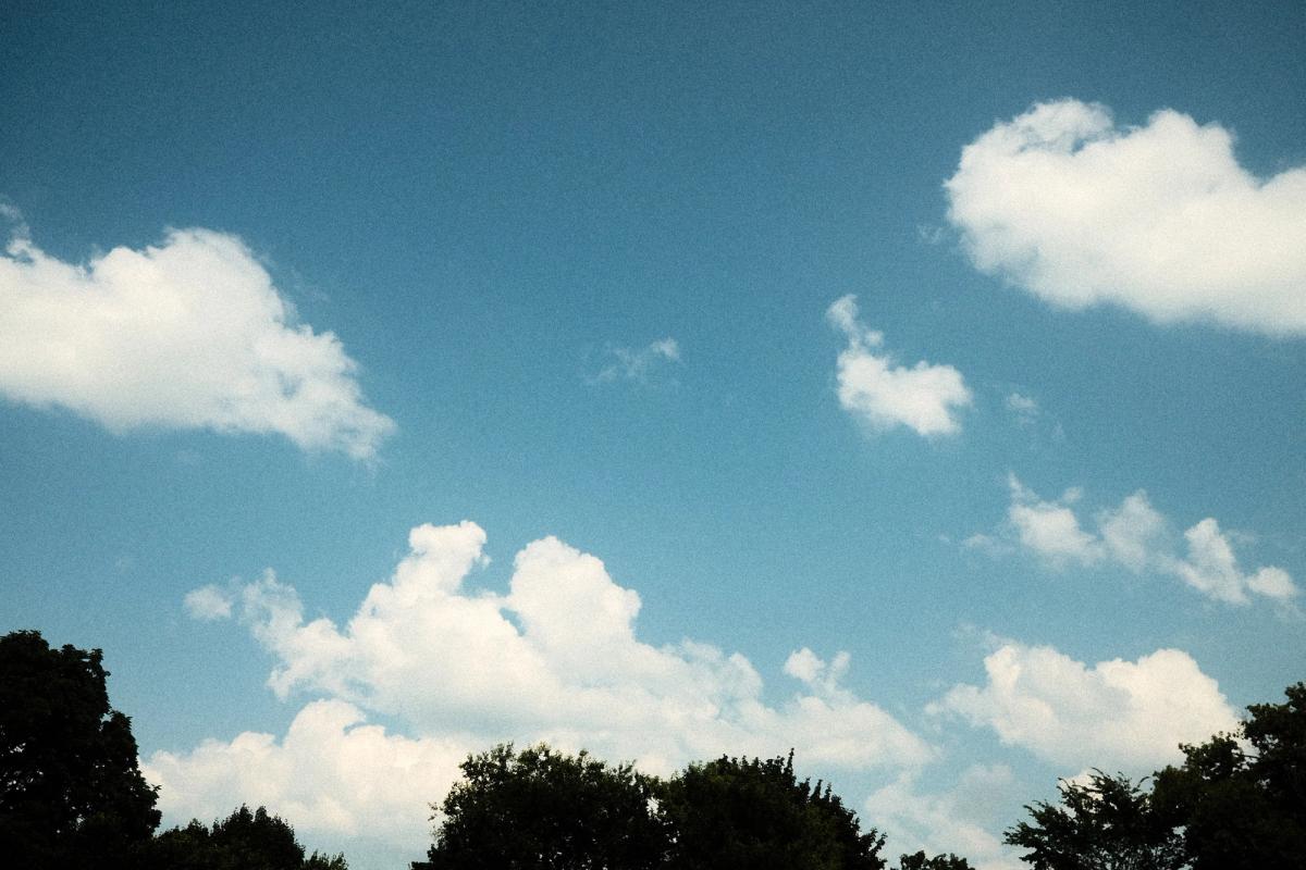 Blue sky, cold wild-geese crying 
