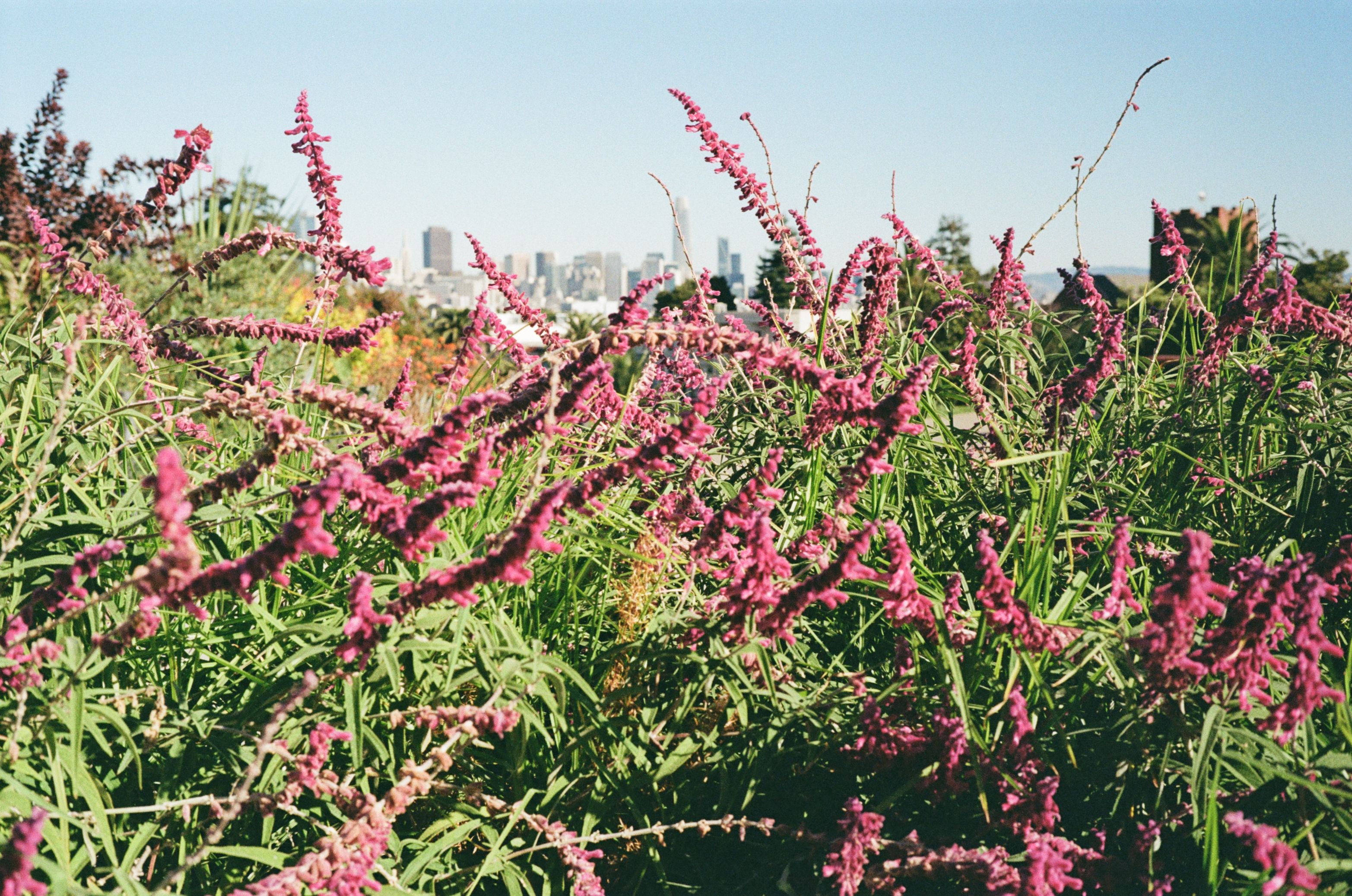 but when you're not among them