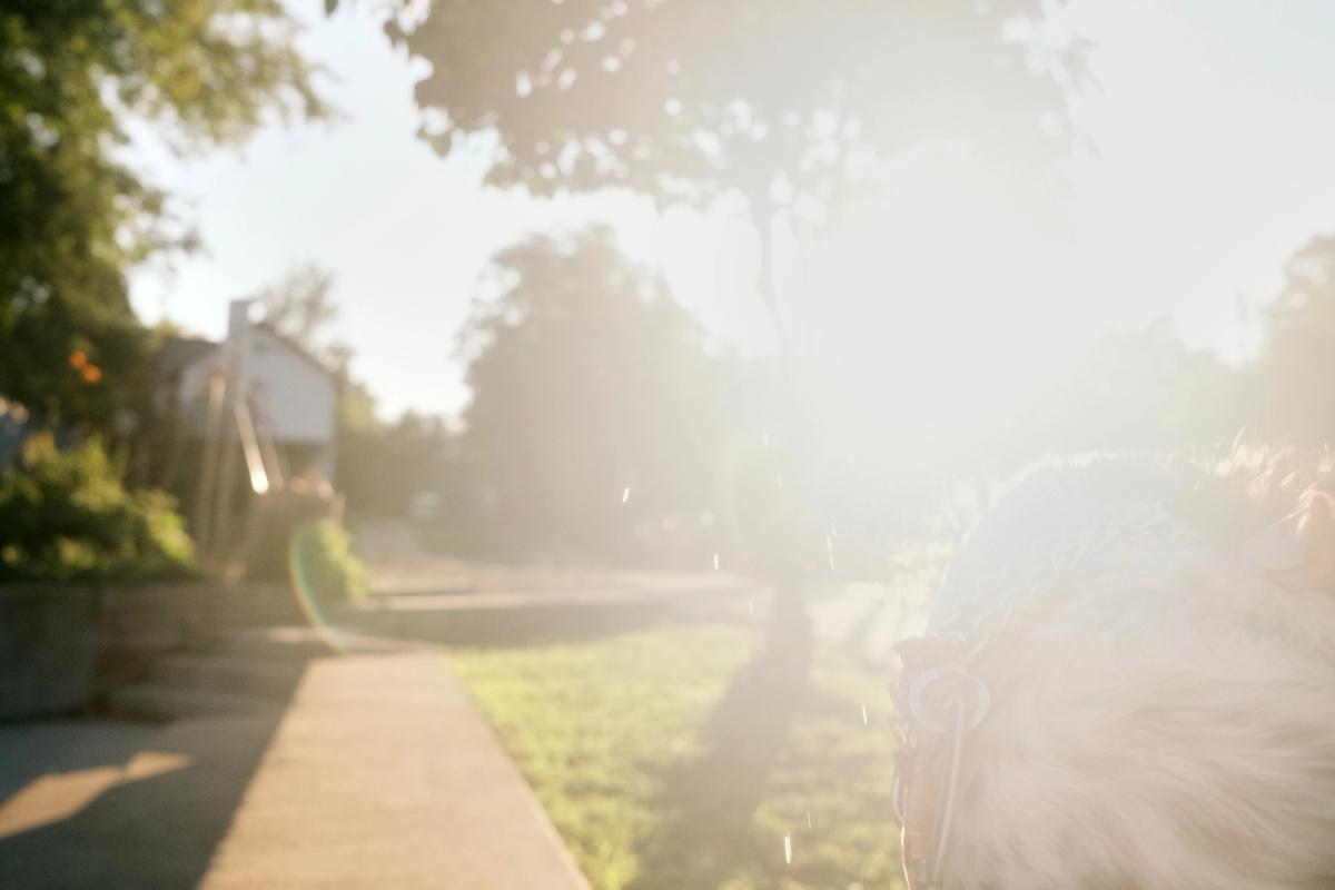 going home alone, carrying an empty bowl