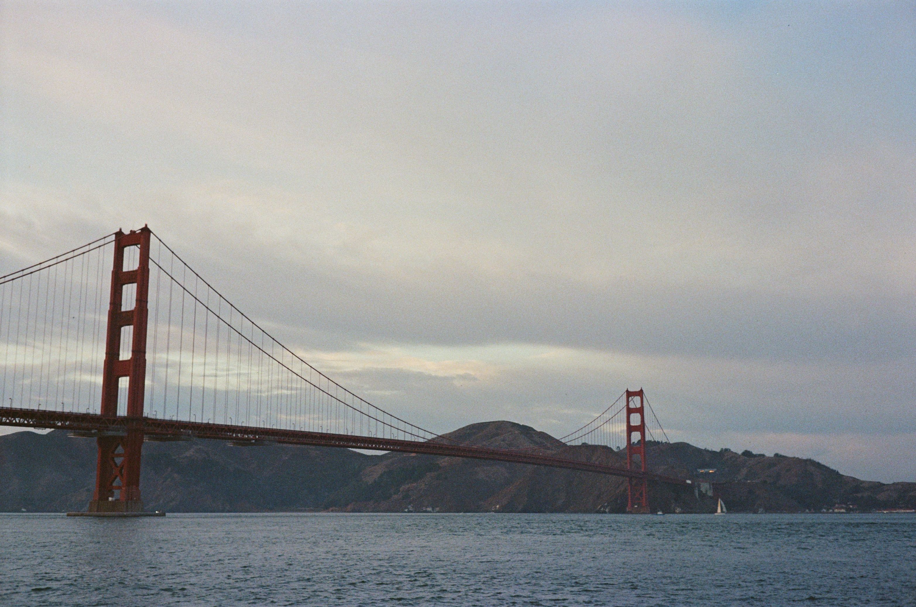  Day and night, everyone is the bird of Snow Mountain.