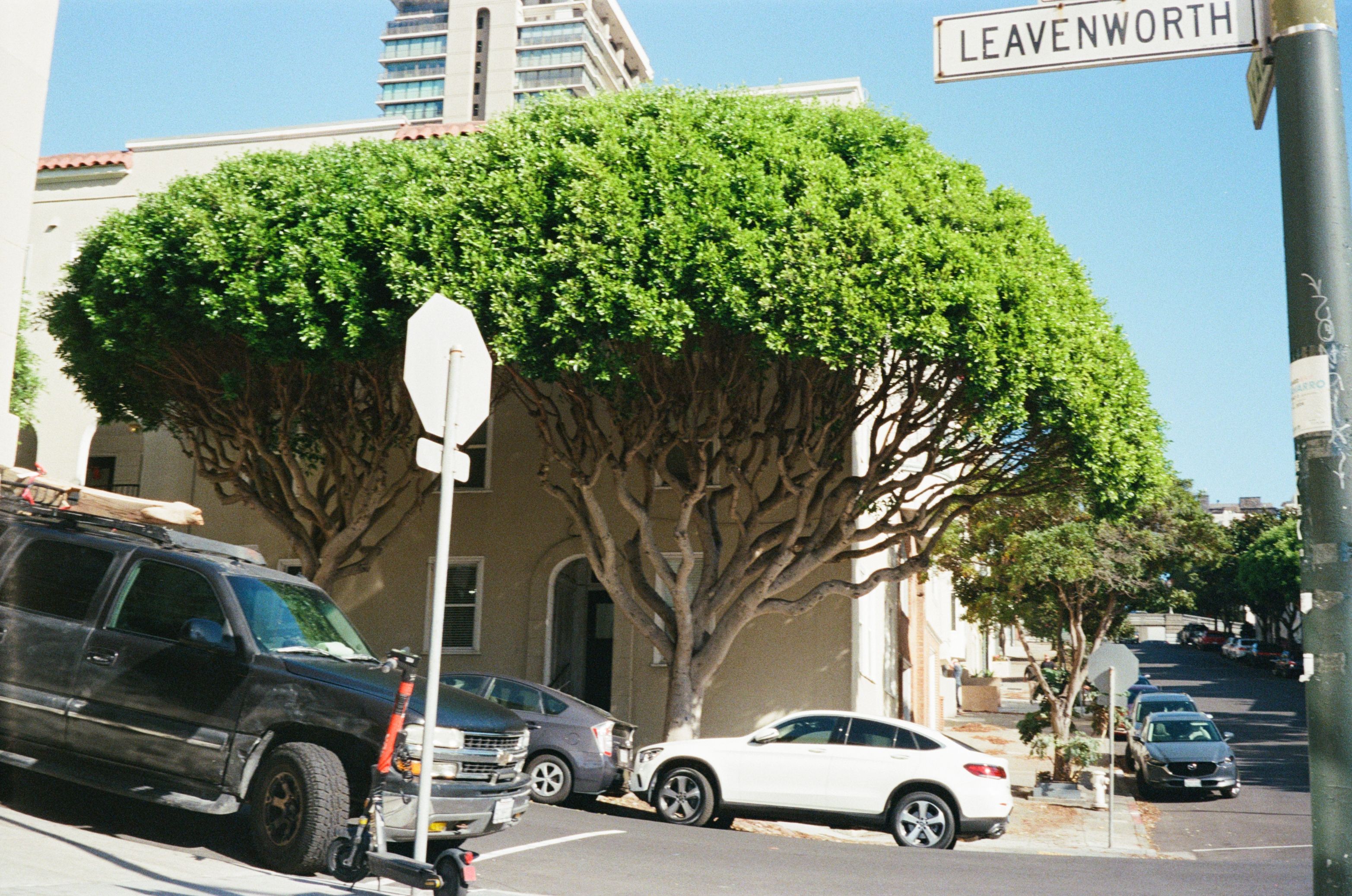 In this village  coming and going there're so many people