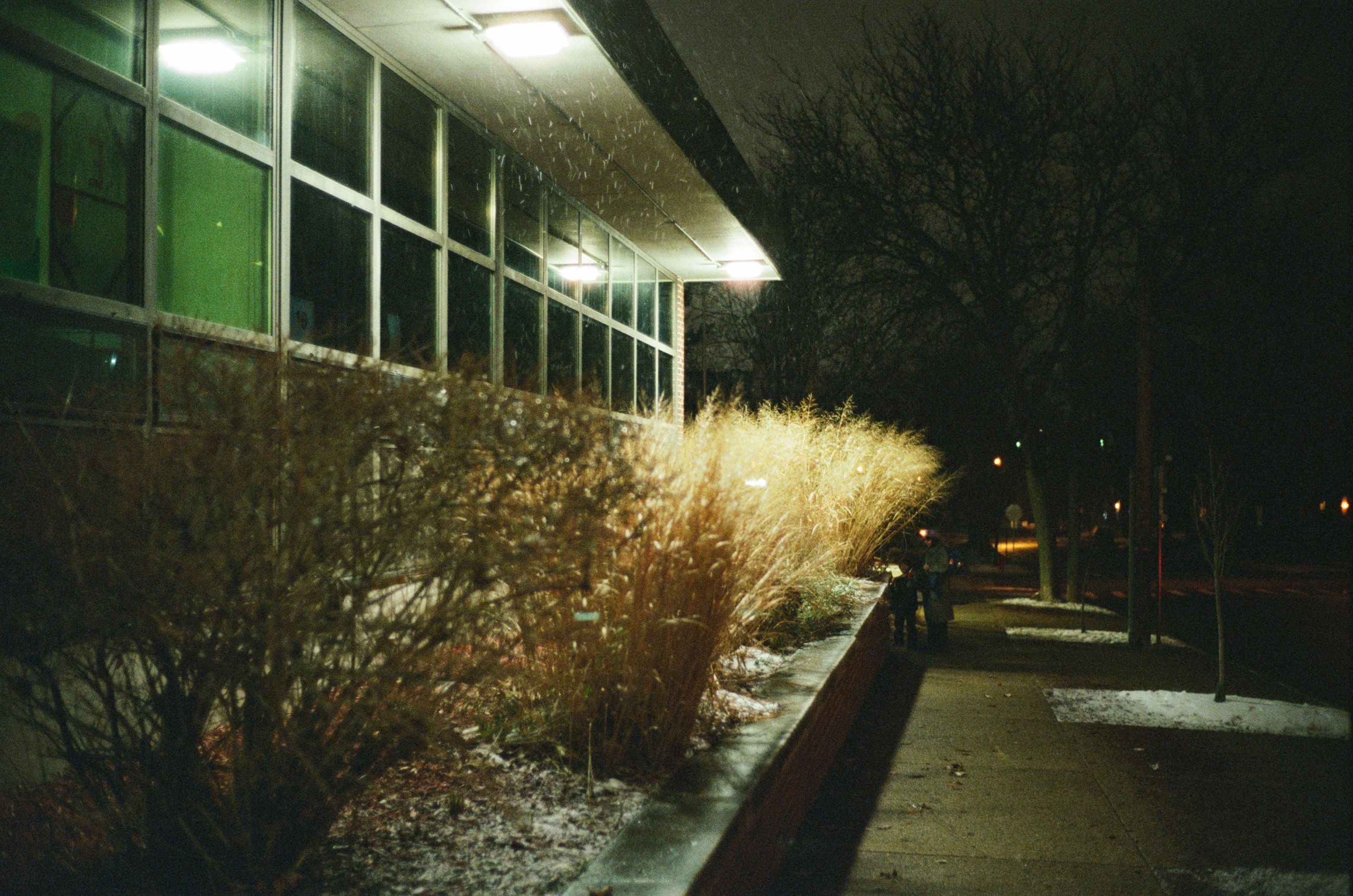 Suffering in the lowest hell, the moon is sinking, sinking.