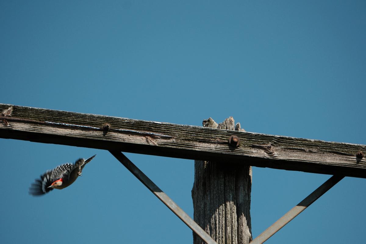 Sunset, road through a hazy village 