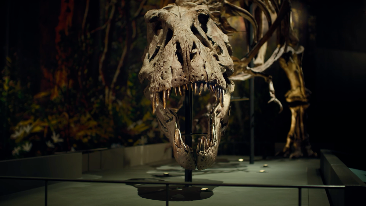 Kom naar naturalis