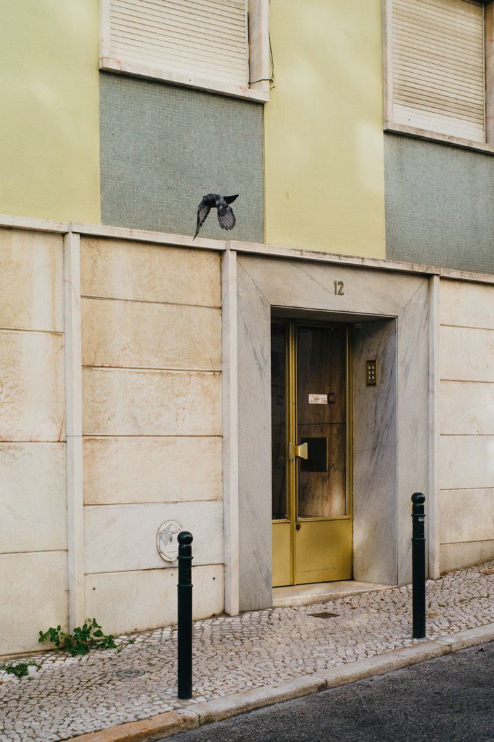Gallery image 49