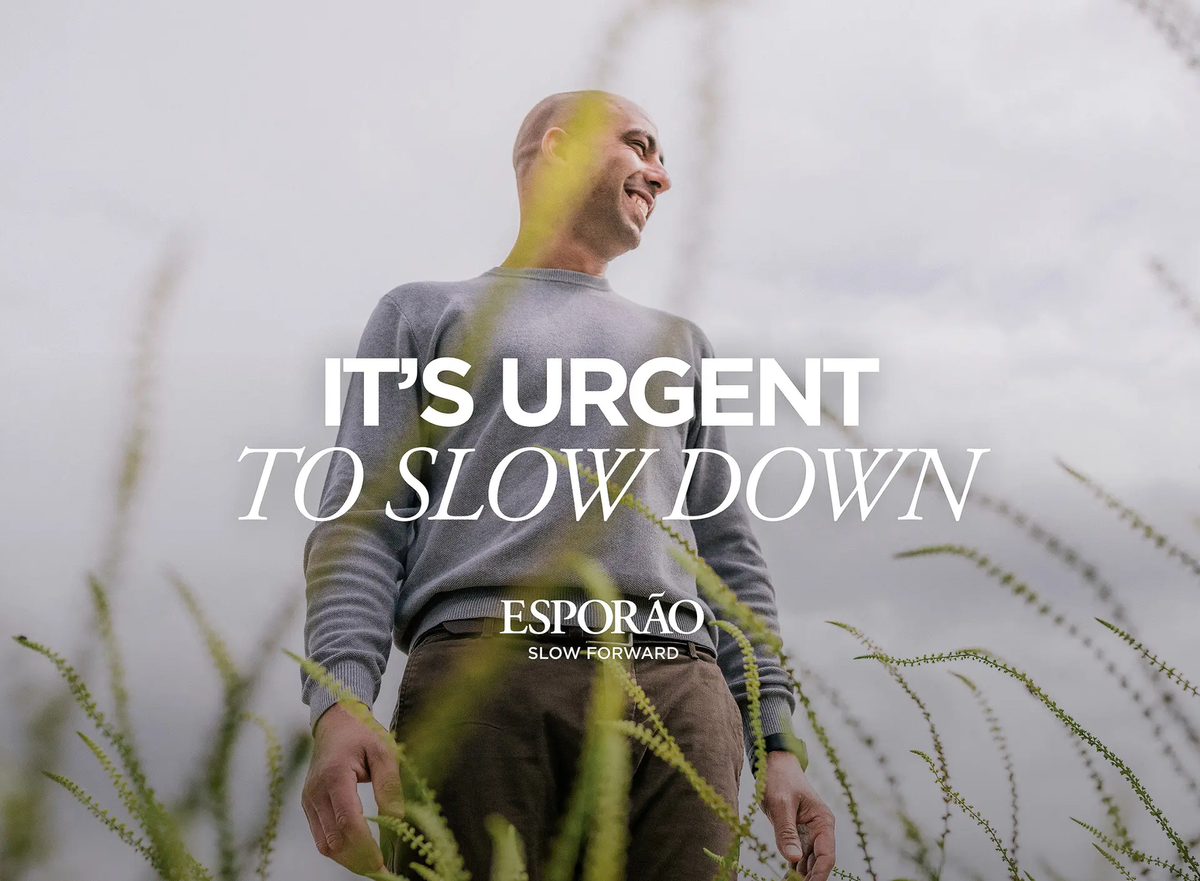 Slow Forward 3