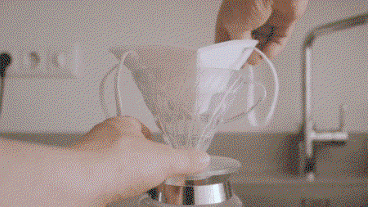 Coffee  19 1