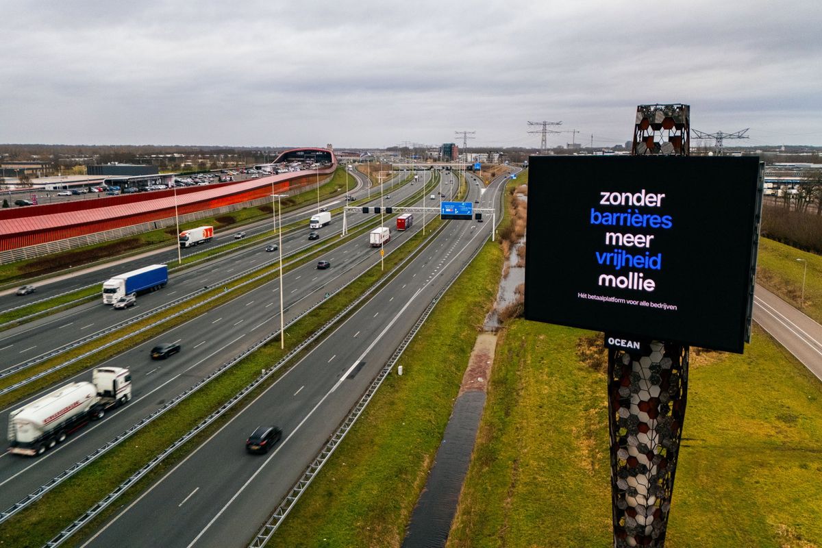 Zonder Meer Mollie 4