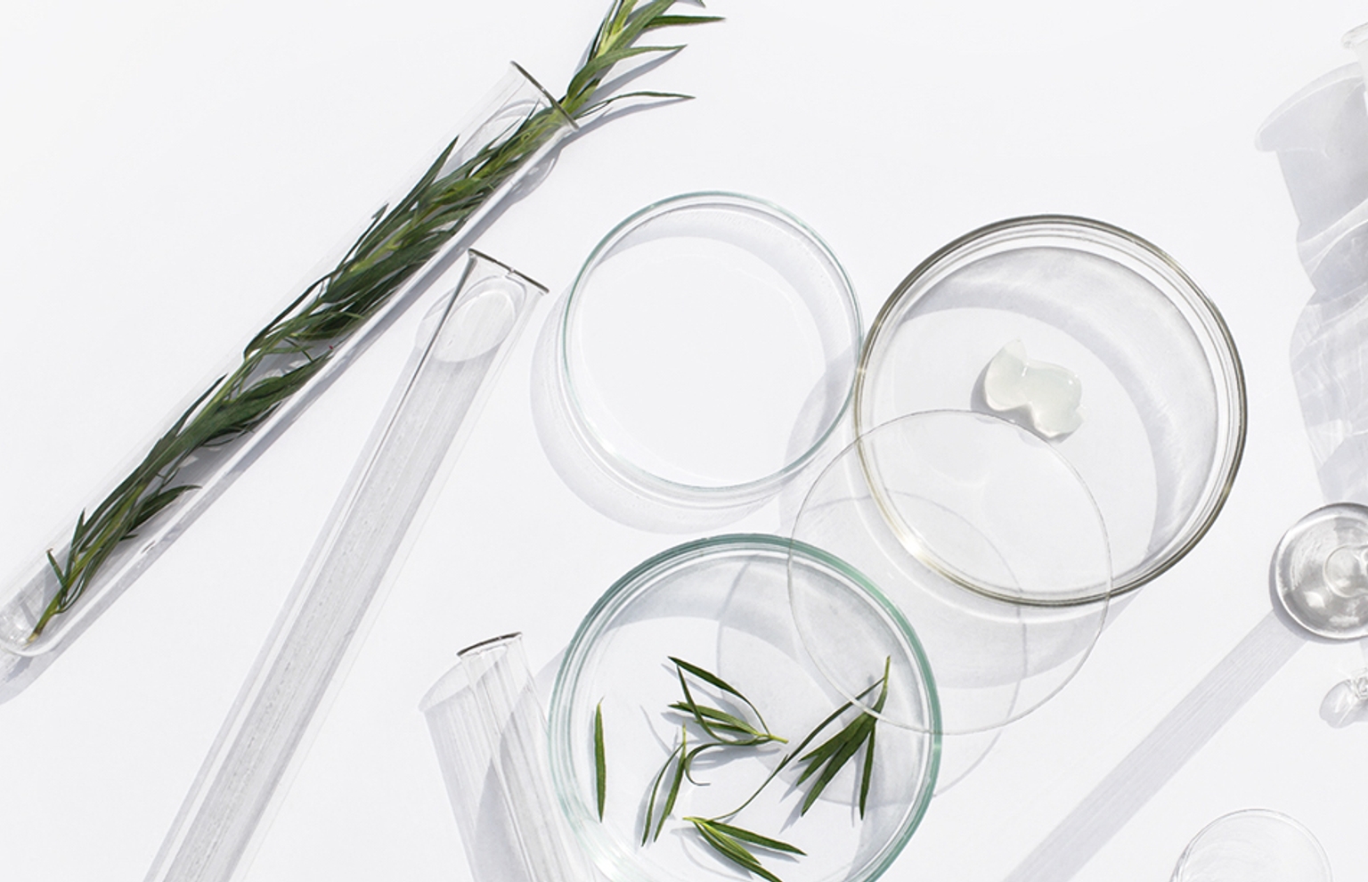 Isntree | Korean Skincare | KBeauty Shop