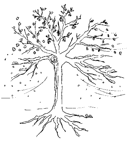 Tegning av et tre. Tegnet av Gulle Stehouwer
