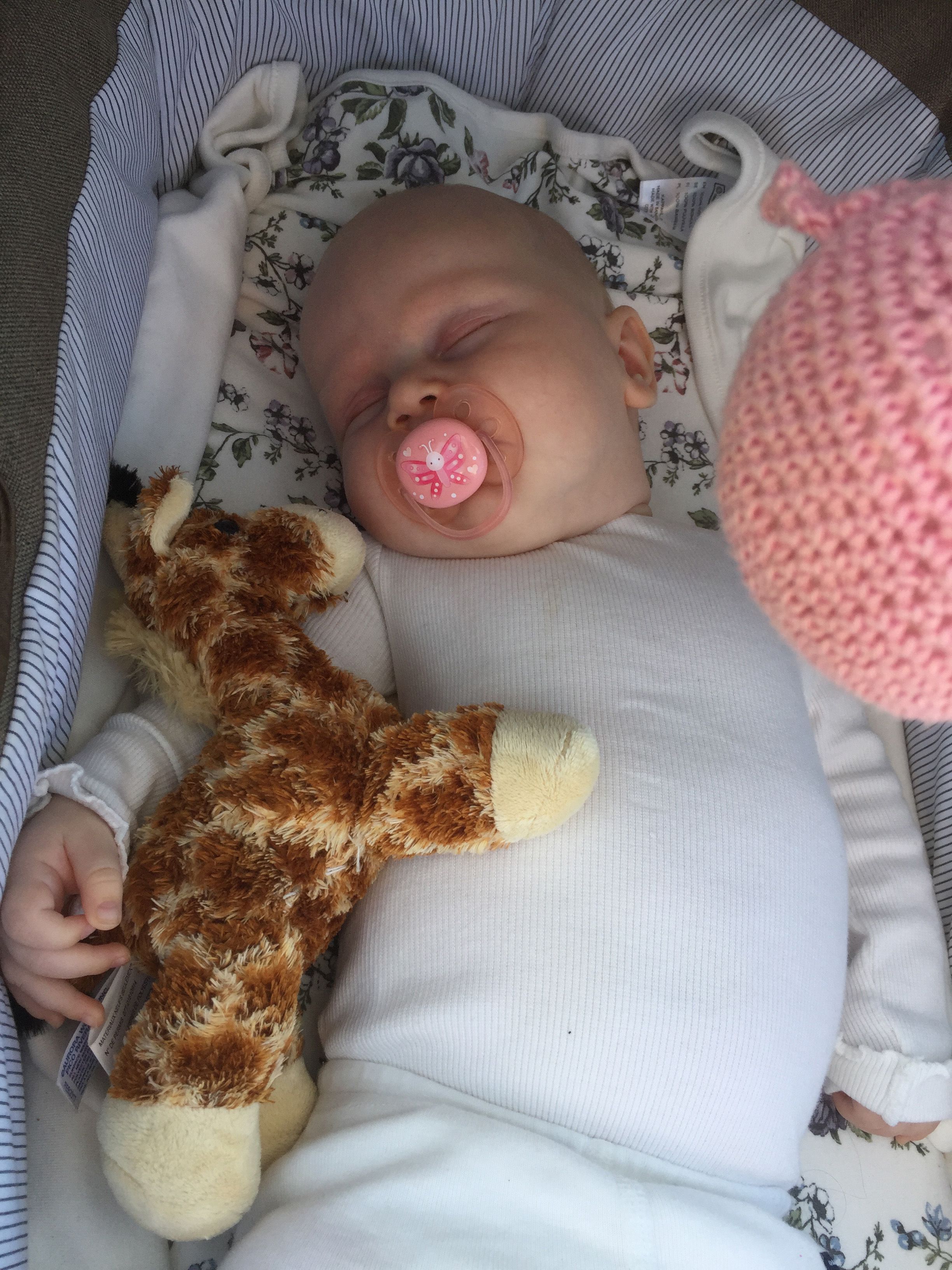 Bilde av et lite barn som sover søtt i vognen sin med bamser rundt seg