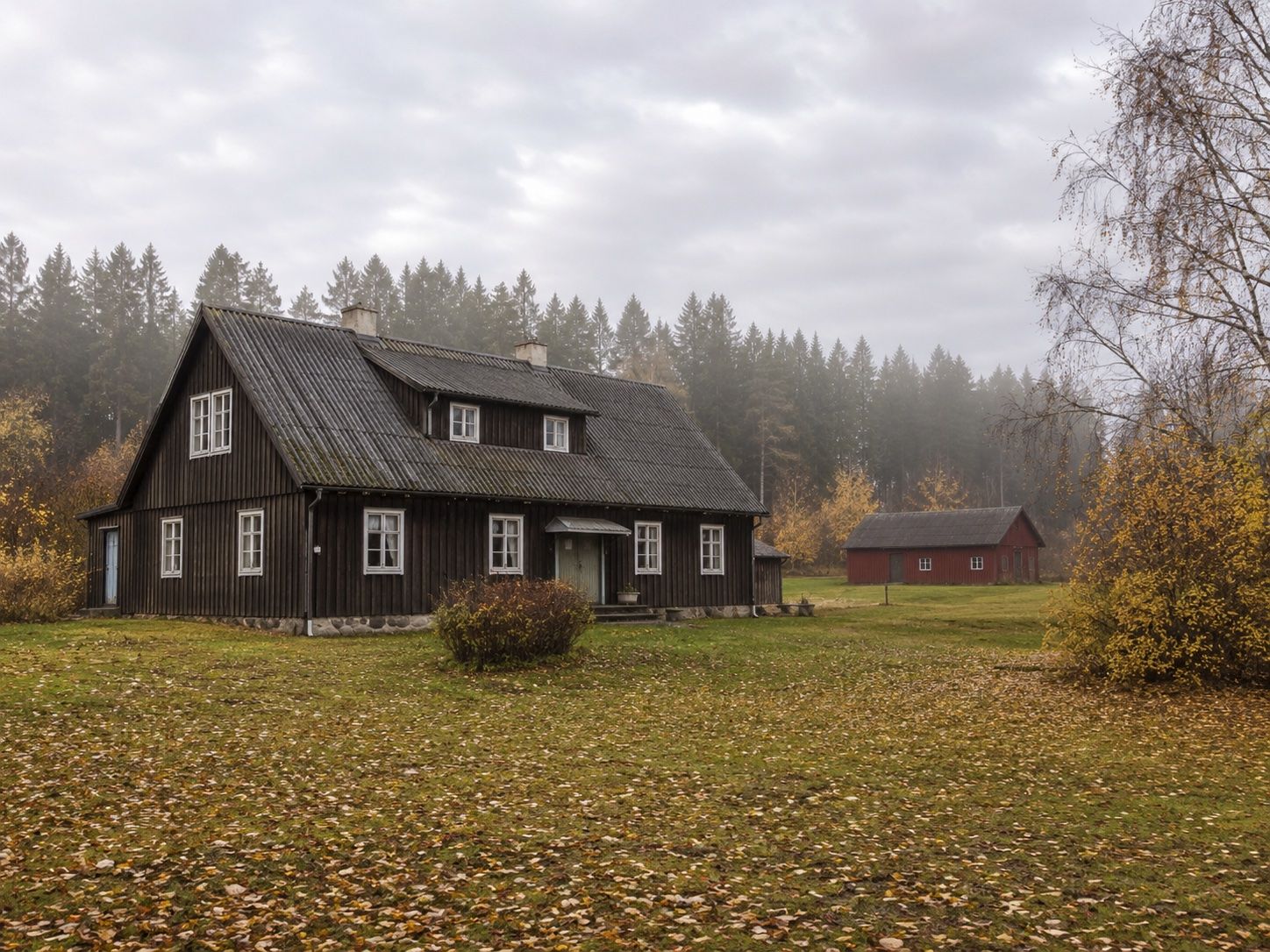 Eterniit laineplaadist katus eesti talumaja kohal