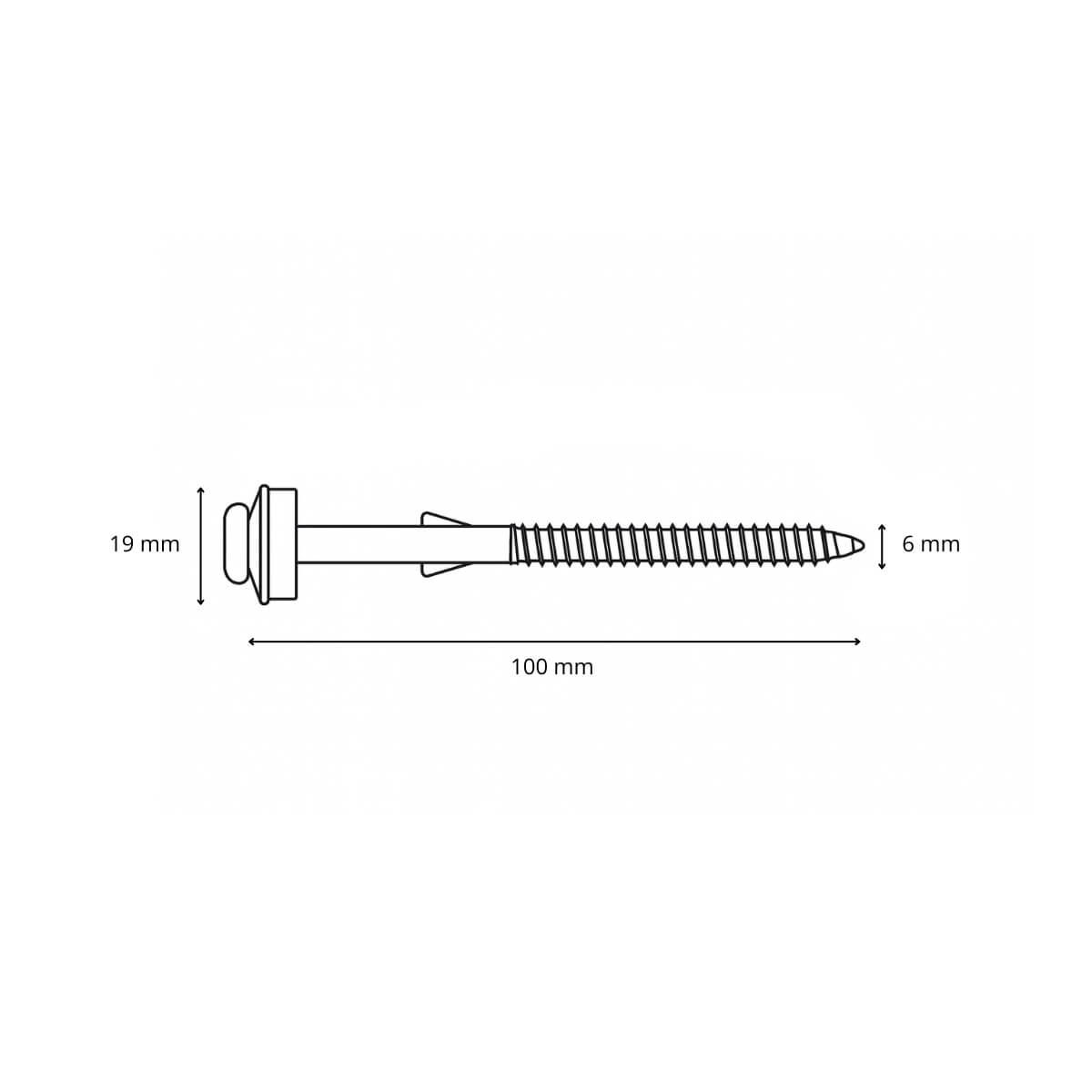 Isepuuriva otsaga Eternit laineplaadi kruvid 6,0 x 100 mm , 100 tk