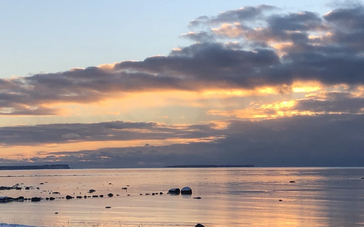 Tilknytning og avhengighet