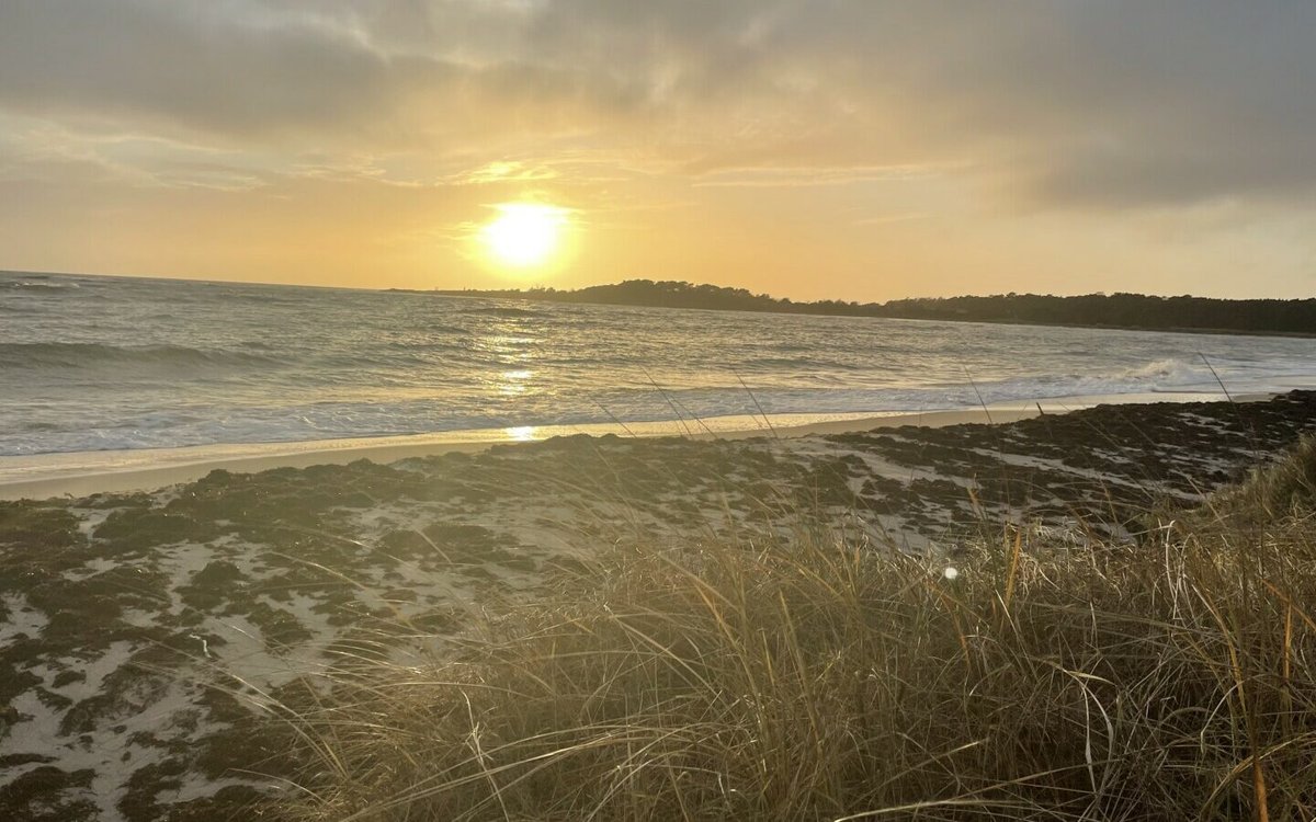 Om å ta bolig i seg selv