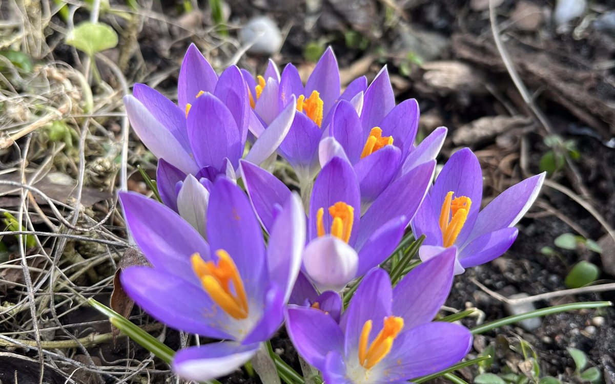 Hva er åndelig utvikling?