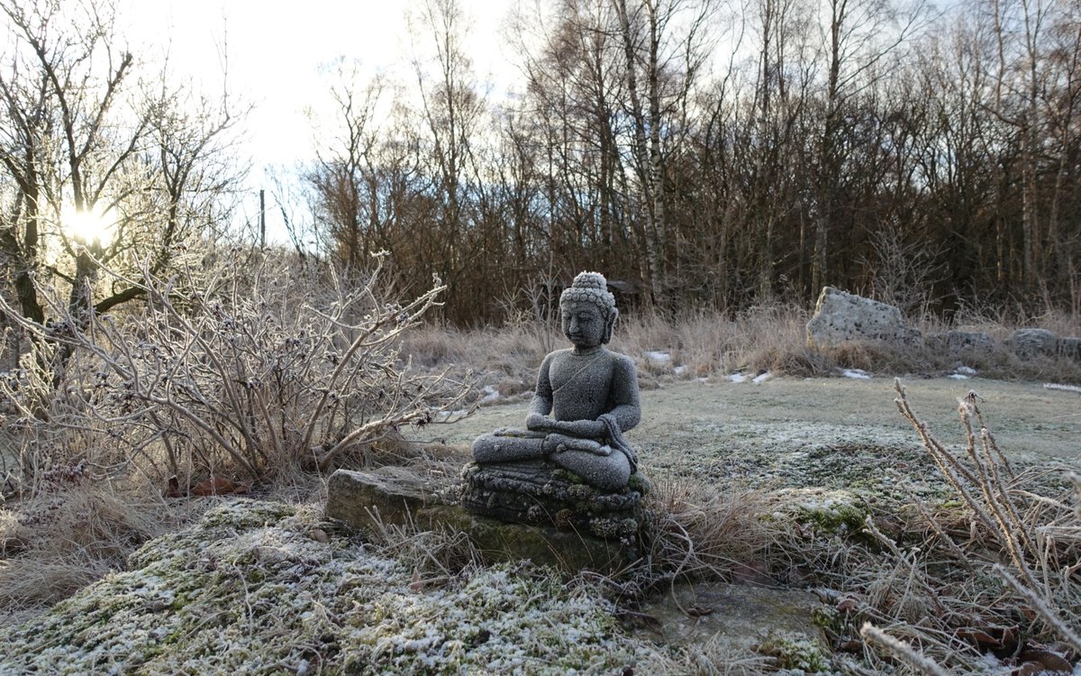 Den mørke siden av meditasjon