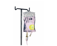 Šta je zapravo džin