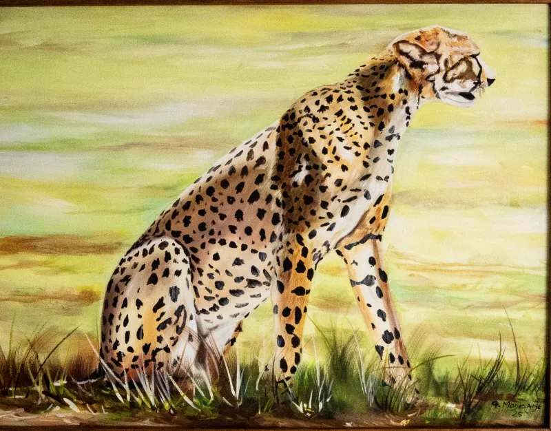 Cheetah, Tijane Geomeone Modisane, 2025.