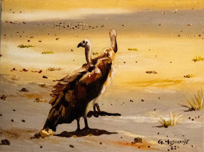 The Vultures, Tijane Geomeone Modisane, 2025.