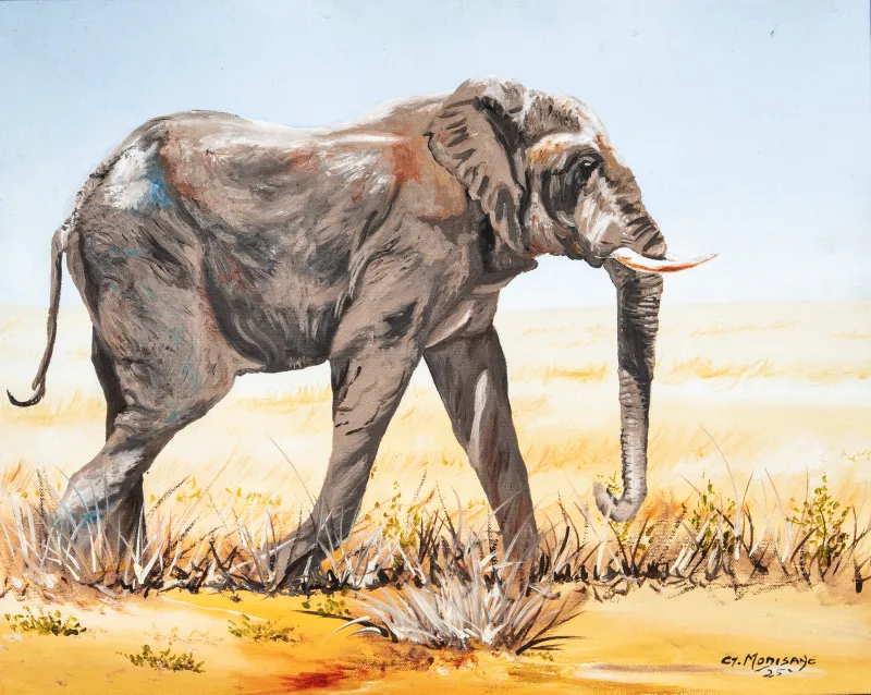 Elephant, Tijane Geomeone Modisane, 2025.